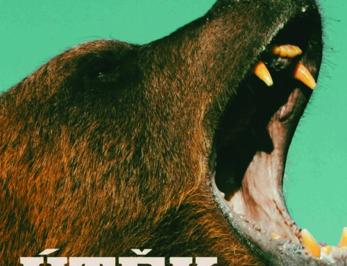 Callan Wink: Útěk z Yellowstonu