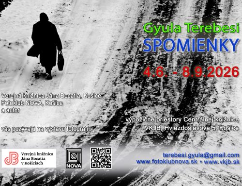 Gyula Terebesi: Spomienky – výstava